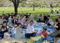 [KAOPIZ JAPAN] Chiêm ngưỡng vẻ đẹp xứ sở hoa anh đào trong picnic mùa xuân 2024