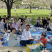 [KAOPIZ JAPAN] Chiêm ngưỡng vẻ đẹp xứ sở hoa anh đào trong picnic mùa xuân 2024