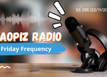 Radio 295 (22/11/2024)