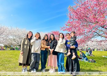 Hanami cùng Kaopiz Japan: Trải nghiệm sắc xuân xứ Phù Tang