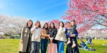 Hanami cùng Kaopiz Japan: Trải nghiệm sắc xuân xứ Phù Tang