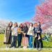 Hanami cùng Kaopiz Japan: Trải nghiệm sắc xuân xứ Phù Tang