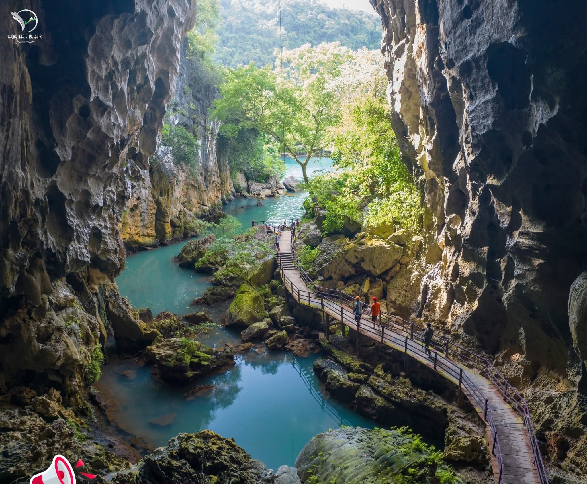 phong nha