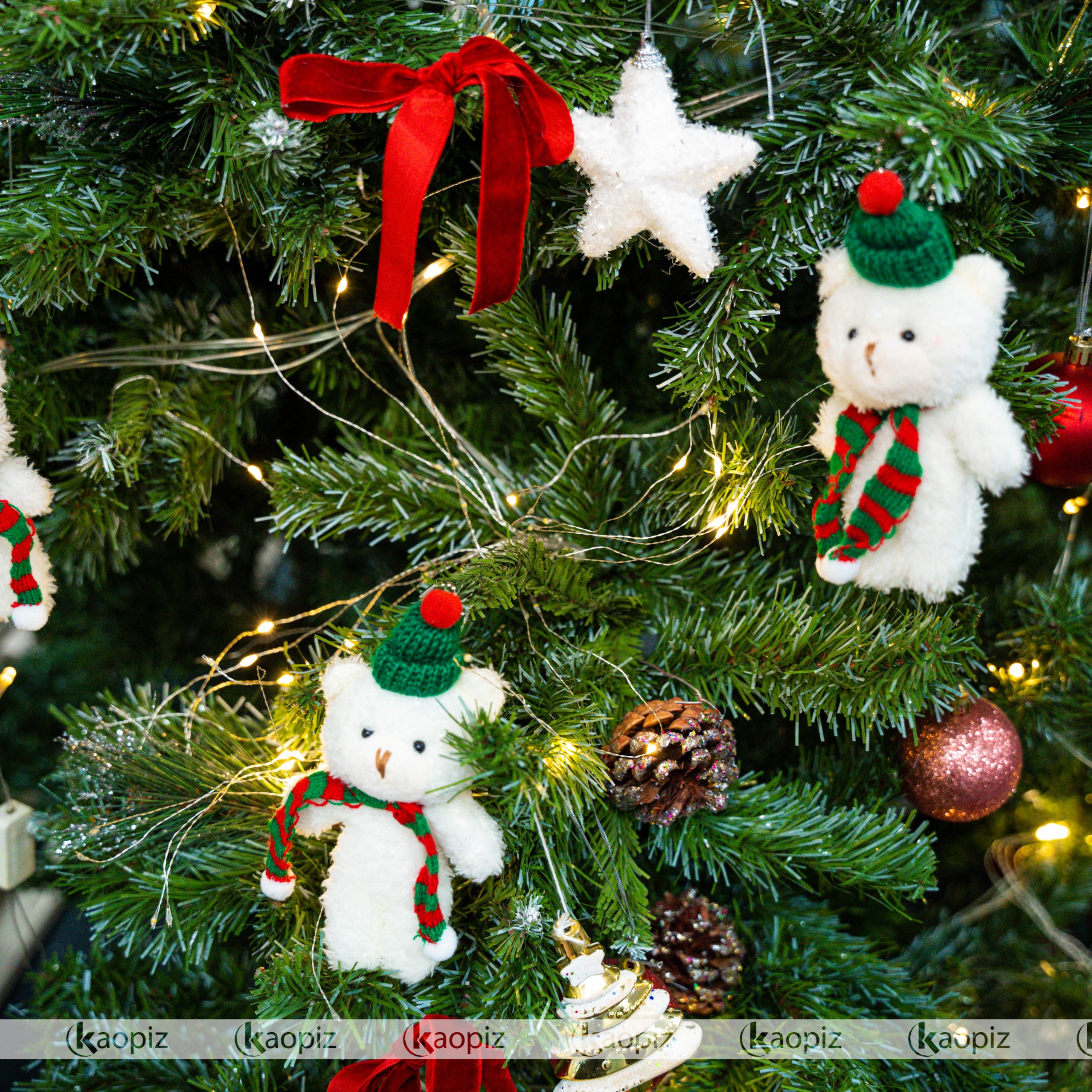 20251216 DSC08062 scaled