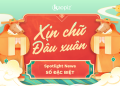Spotlight News: Xin chữ đầu xuân