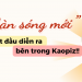 Một “Làn sóng mới” đang bắt đầu diễn ra bên trong Kaopiz!